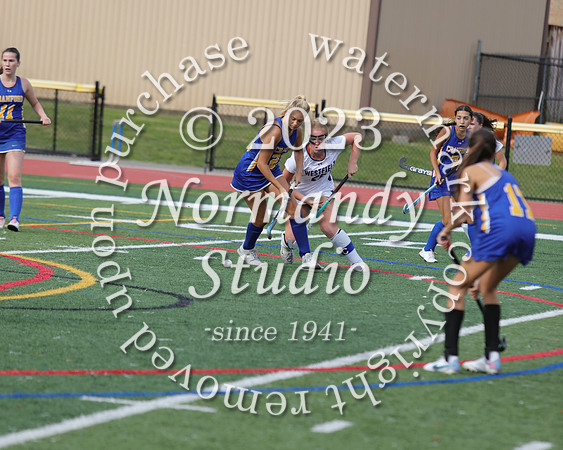 CHS_fh_44
