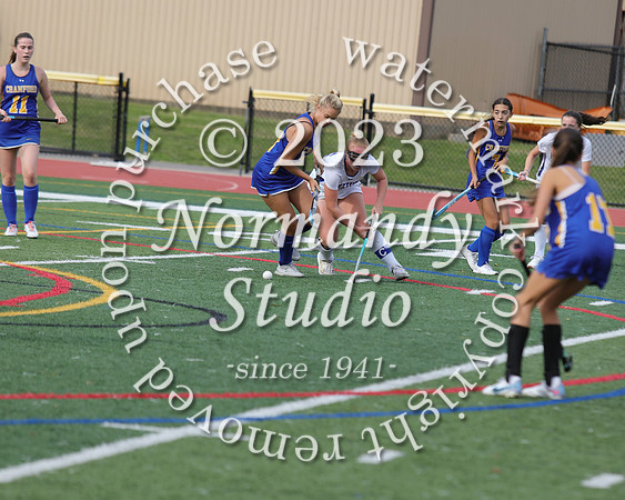CHS_fh_43