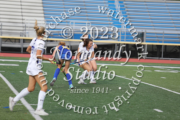 WHS_fh_10