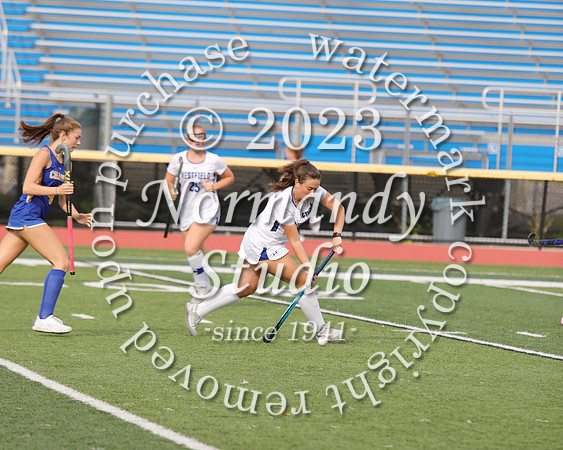 WHS_fh_13