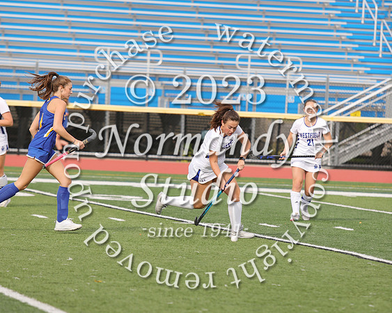WHS_fh_14