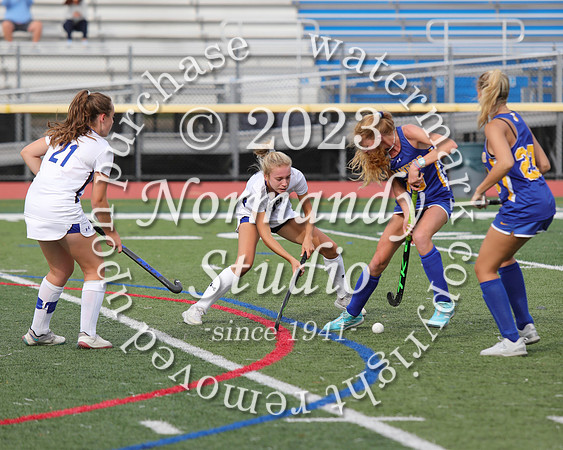 WHS_fh_66