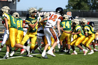 SVL_fb-f_06