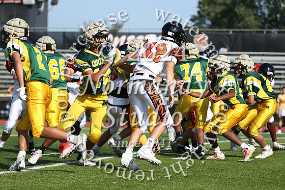 SVL_fb-f_06