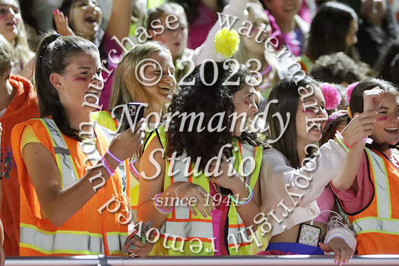 RAM_fans_05