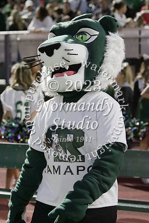 RAM_fb_034
