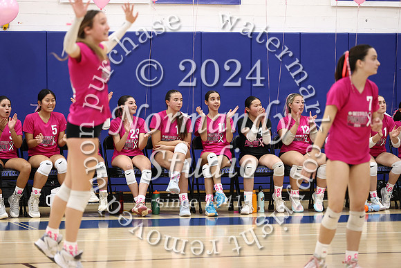 WHS_vb-pink out_21