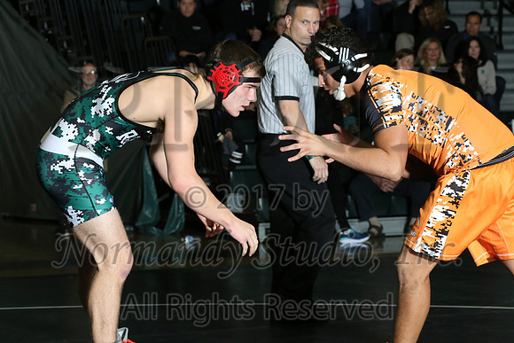 SVL_014_wr