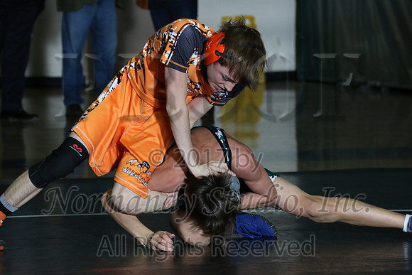 SVL_042_wr