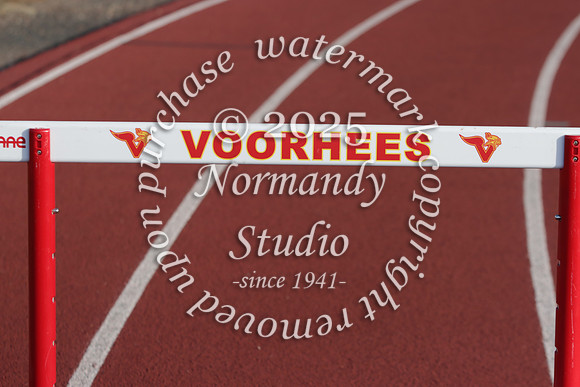 VOR_tr-g_02