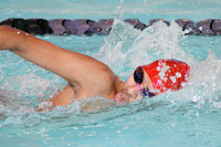 ACTION 1-9-18 PT