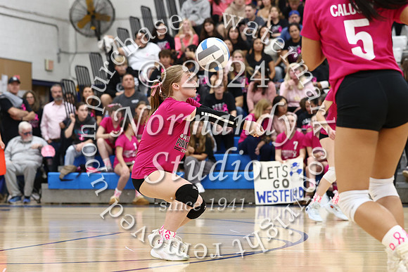 WHS_vb-pink out_43