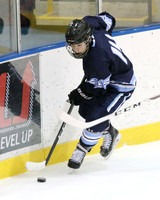 ICE HOCKEY
