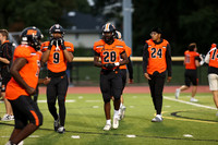 SVL_fb_01