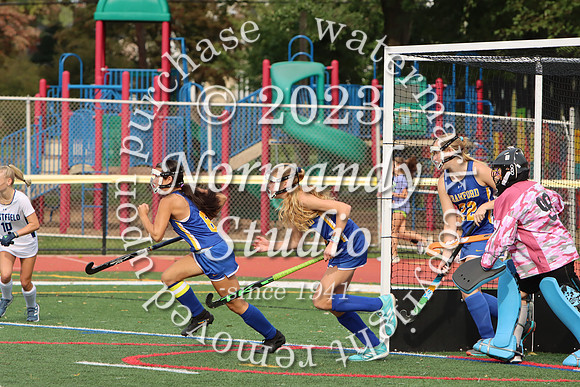 CHS_fh_20