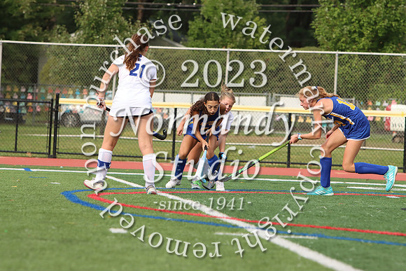 CHS_fh_33