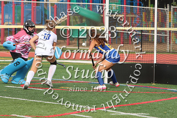 WHS_fh_11