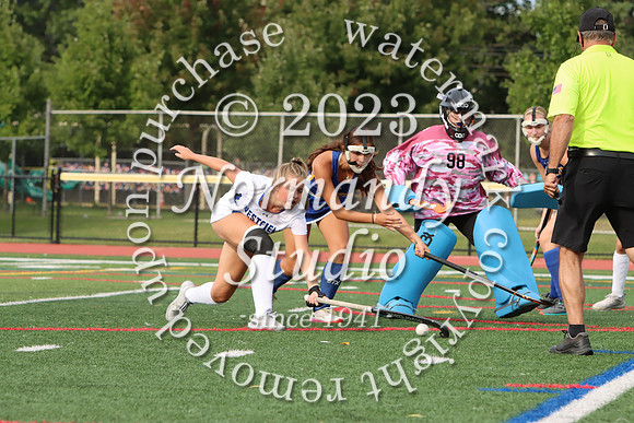 WHS_fh_40