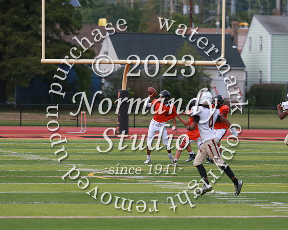 SVL_fb-f_12