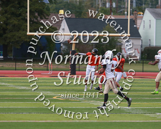 SVL_fb-f_13