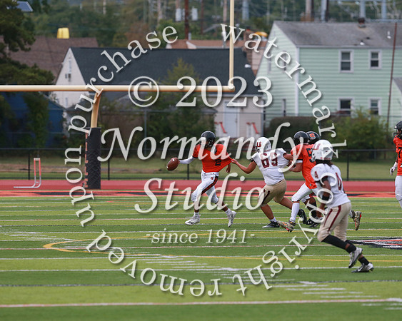 SVL_fb-f_10