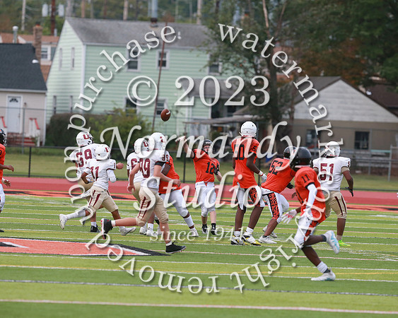 SVL_fb-f_15