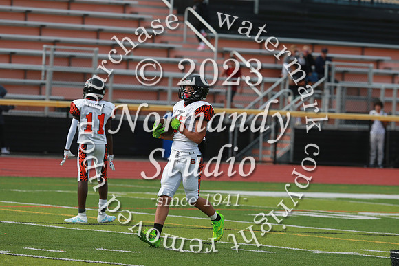 SVL_fb-f_17