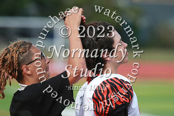 SVL_fb-f_20