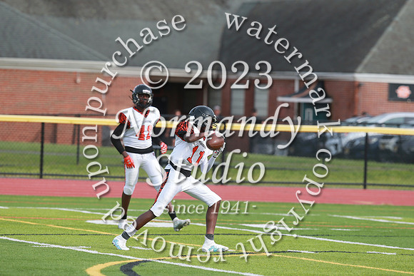 SVL_fb-f_24