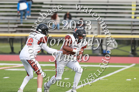SVL_fb-f_29