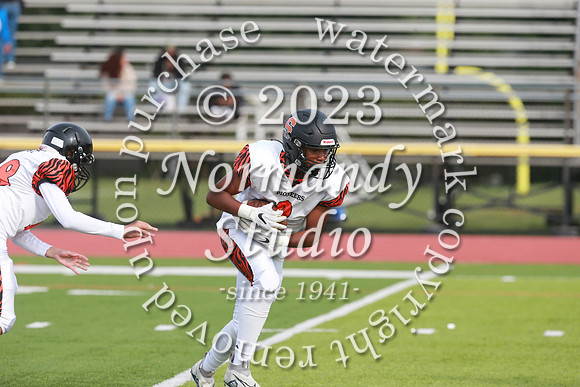 SVL_fb-f_31
