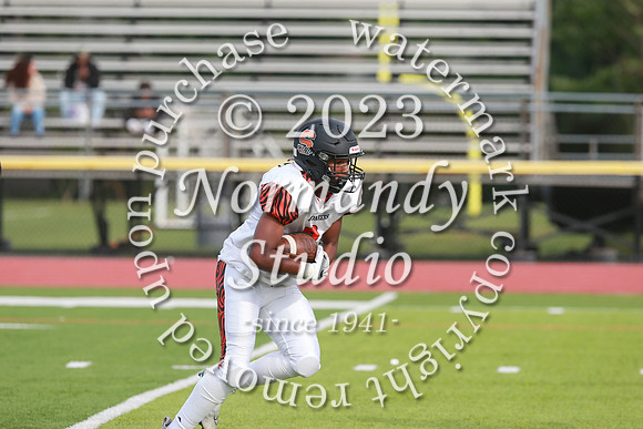 SVL_fb-f_32