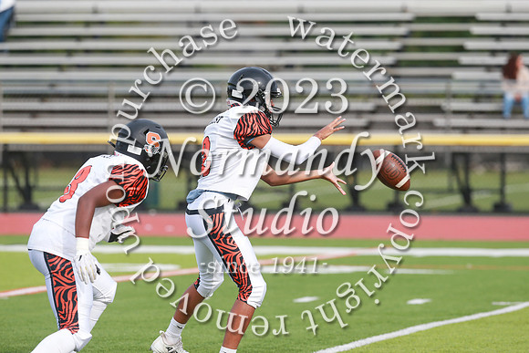 SVL_fb-f_34