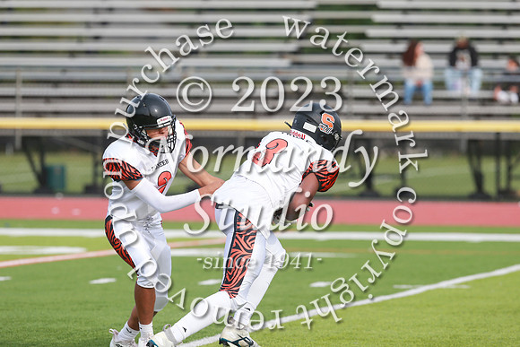 SVL_fb-f_36