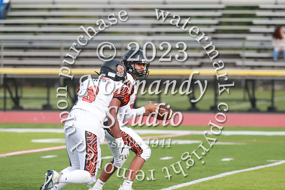 SVL_fb-f_35