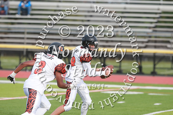 SVL_fb-f_38