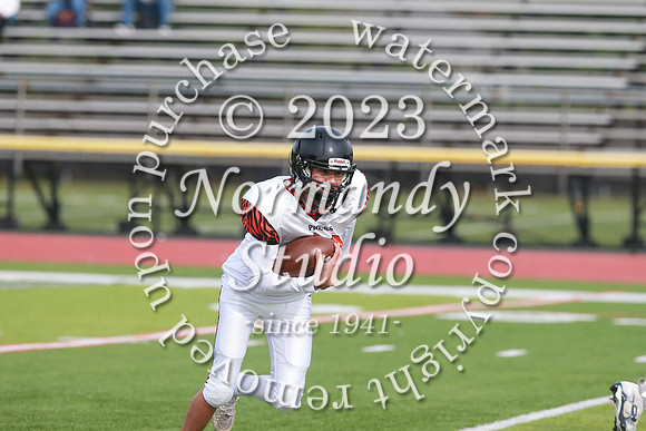 SVL_fb-f_39