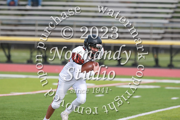 SVL_fb-f_40
