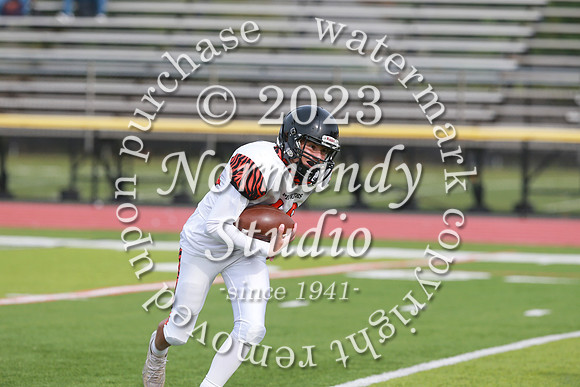 SVL_fb-f_41