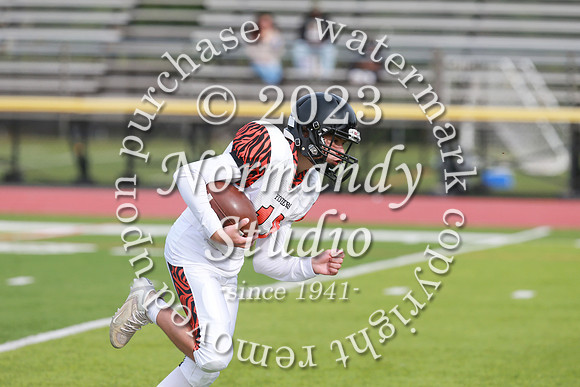SVL_fb-f_43