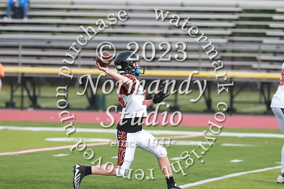 SVL_fb-f_49
