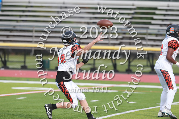 SVL_fb-f_50
