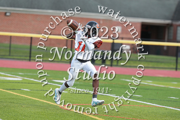 SVL_fb-f_51