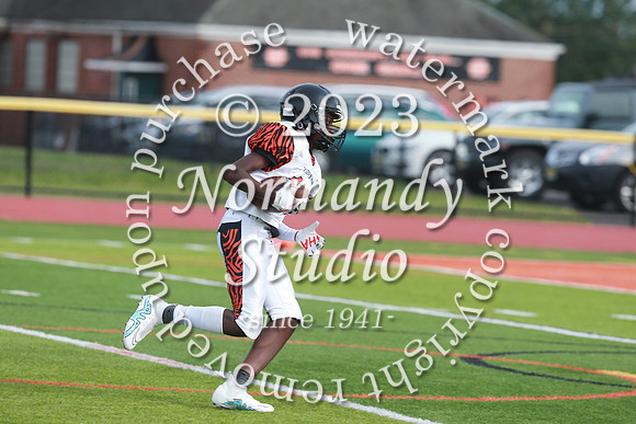 SVL_fb-f_54