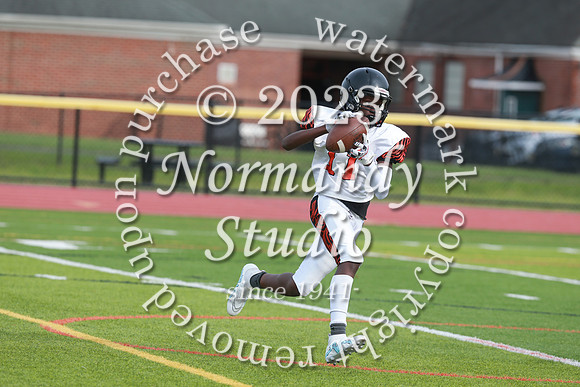 SVL_fb-f_52