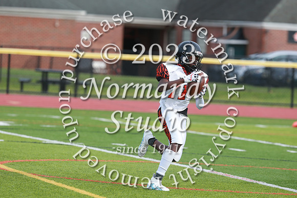 SVL_fb-f_53
