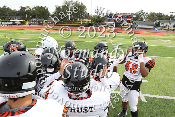 SVL_fb-f_03