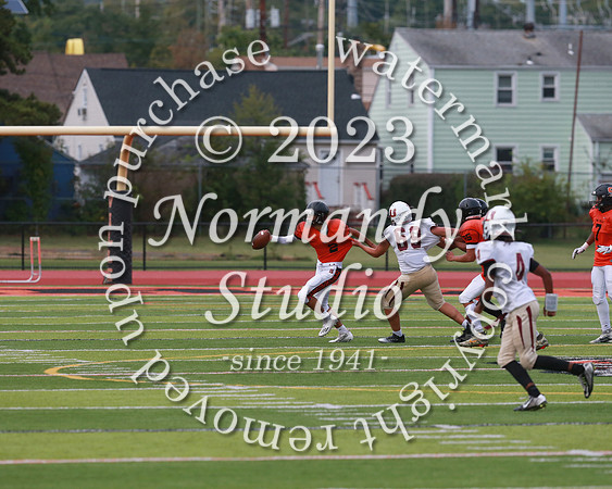 SVL_fb-f_09