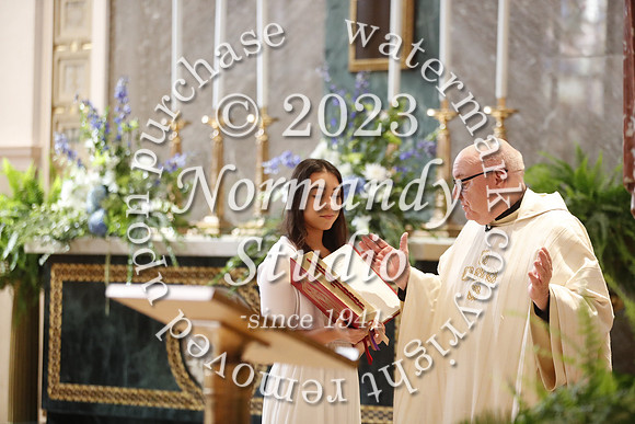MSM_mercy mass_14