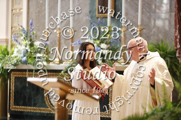 MSM_mercy mass_15